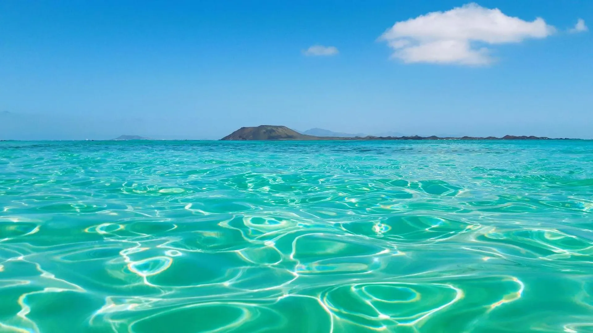 Estrella Marina By Sea You There Fuerteventura Corralejo