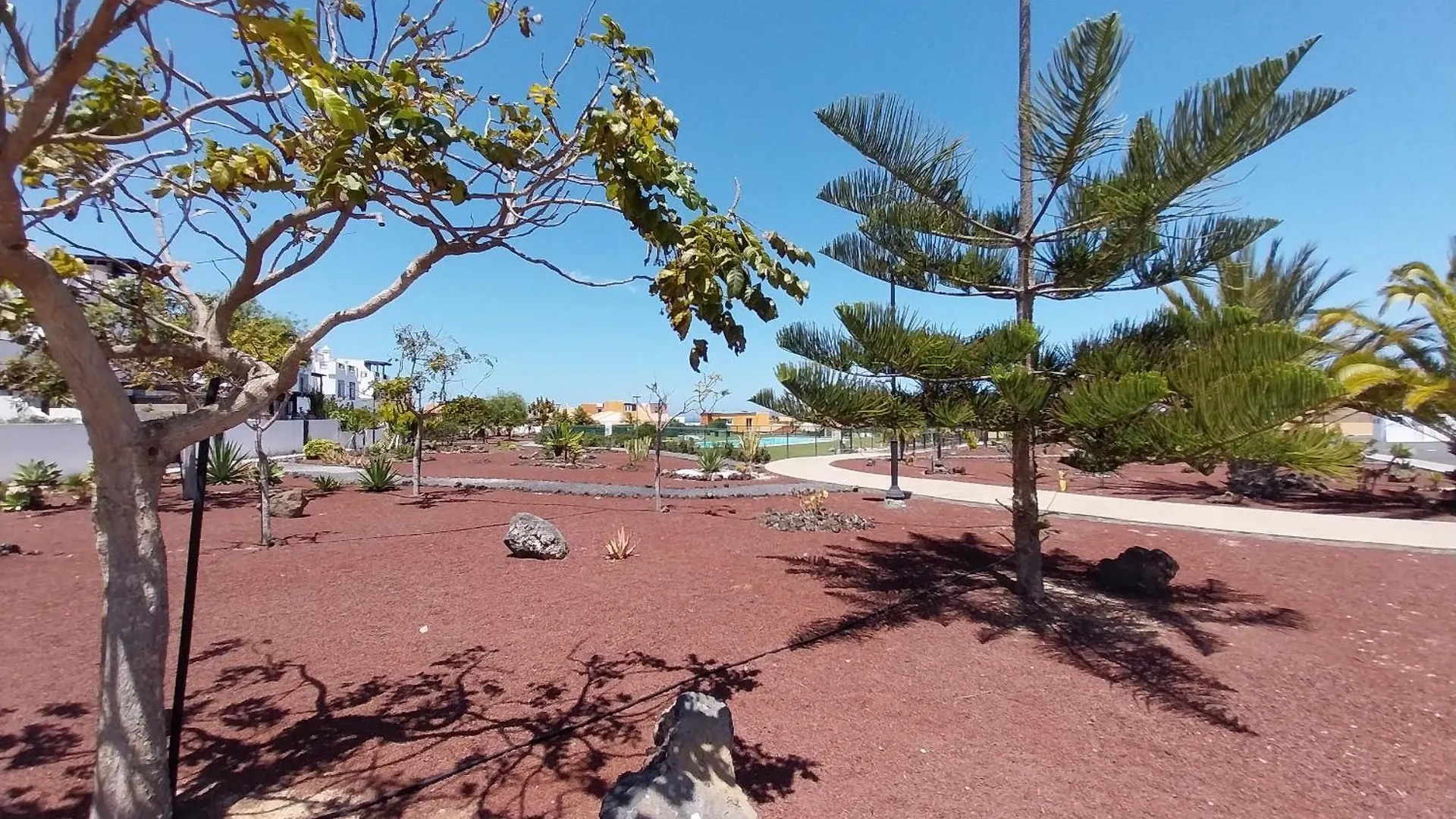 Estrella Marina By Sea You There Fuerteventura Corralejo